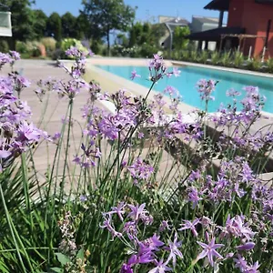 appartamenti-villa-gloria.hotelinveneto.com/
